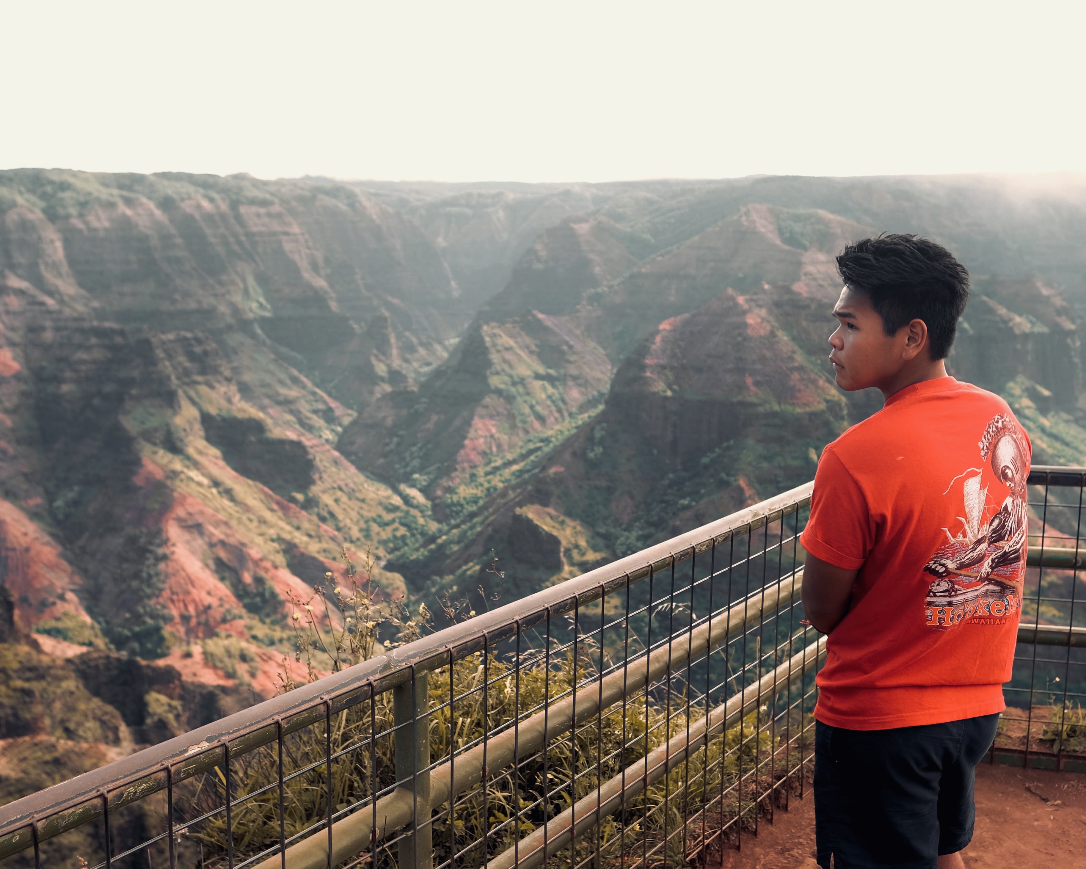 An image of Kauai
              Na Pali Coast which links back to home page
